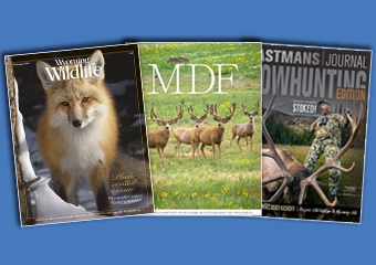 Magazine Design